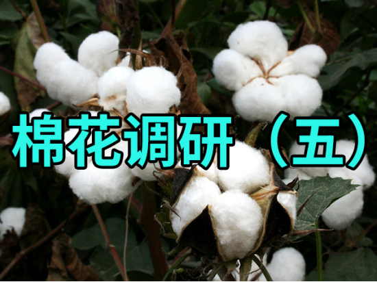 【中粮调研】棉花调研（五）：尉犁、库尔勒